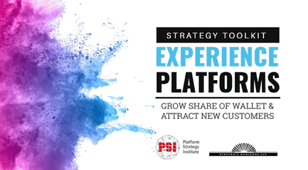 Experience Platforms Strategy Toolkit